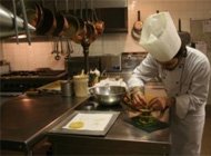 Control de plagas en bares y restaurantes